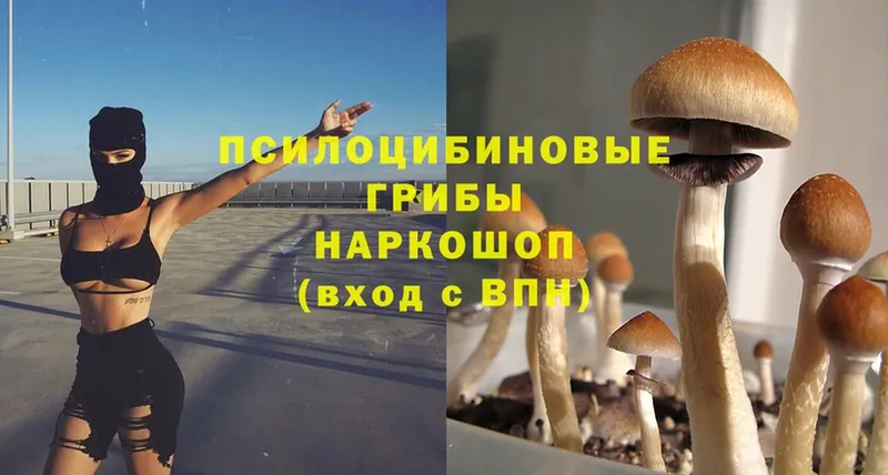 MEGA онион  Верхоянск  это клад  Псилоцибиновые грибы Cubensis 